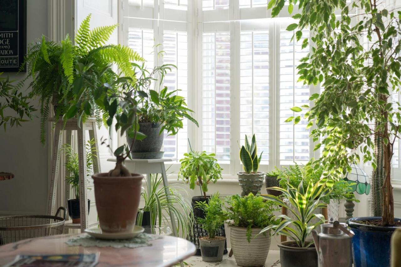 The Green House Portsmouth Bagian luar foto