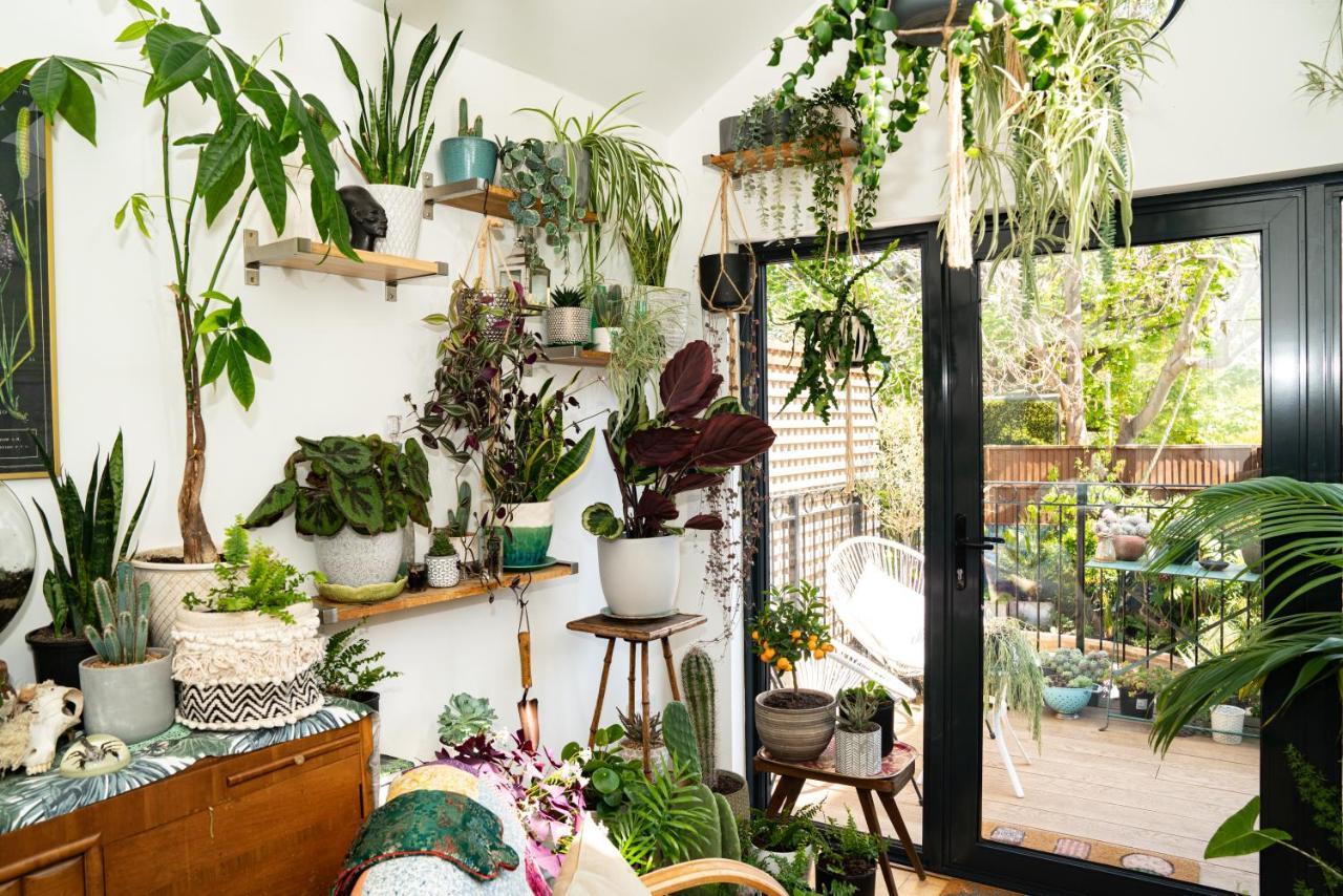 The Green House Portsmouth Bagian luar foto