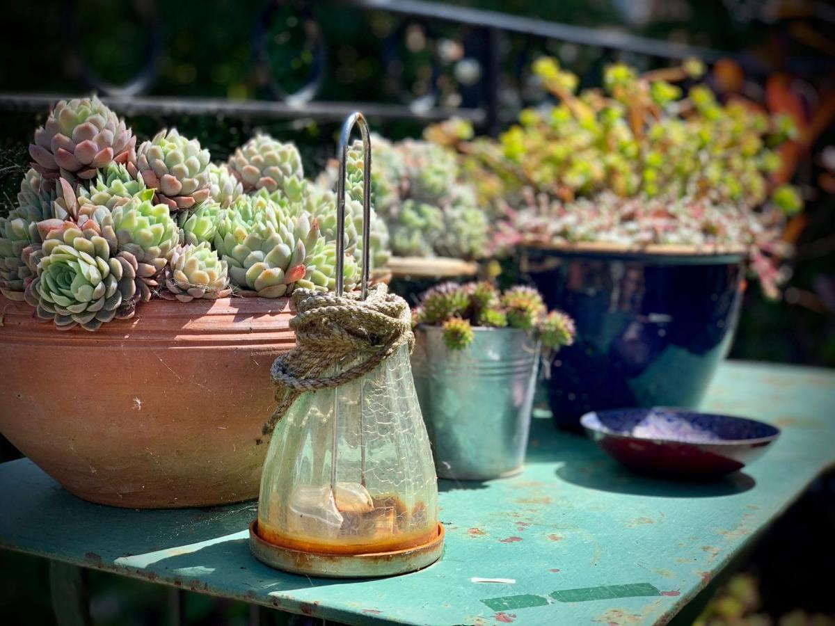 The Green House Portsmouth Bagian luar foto