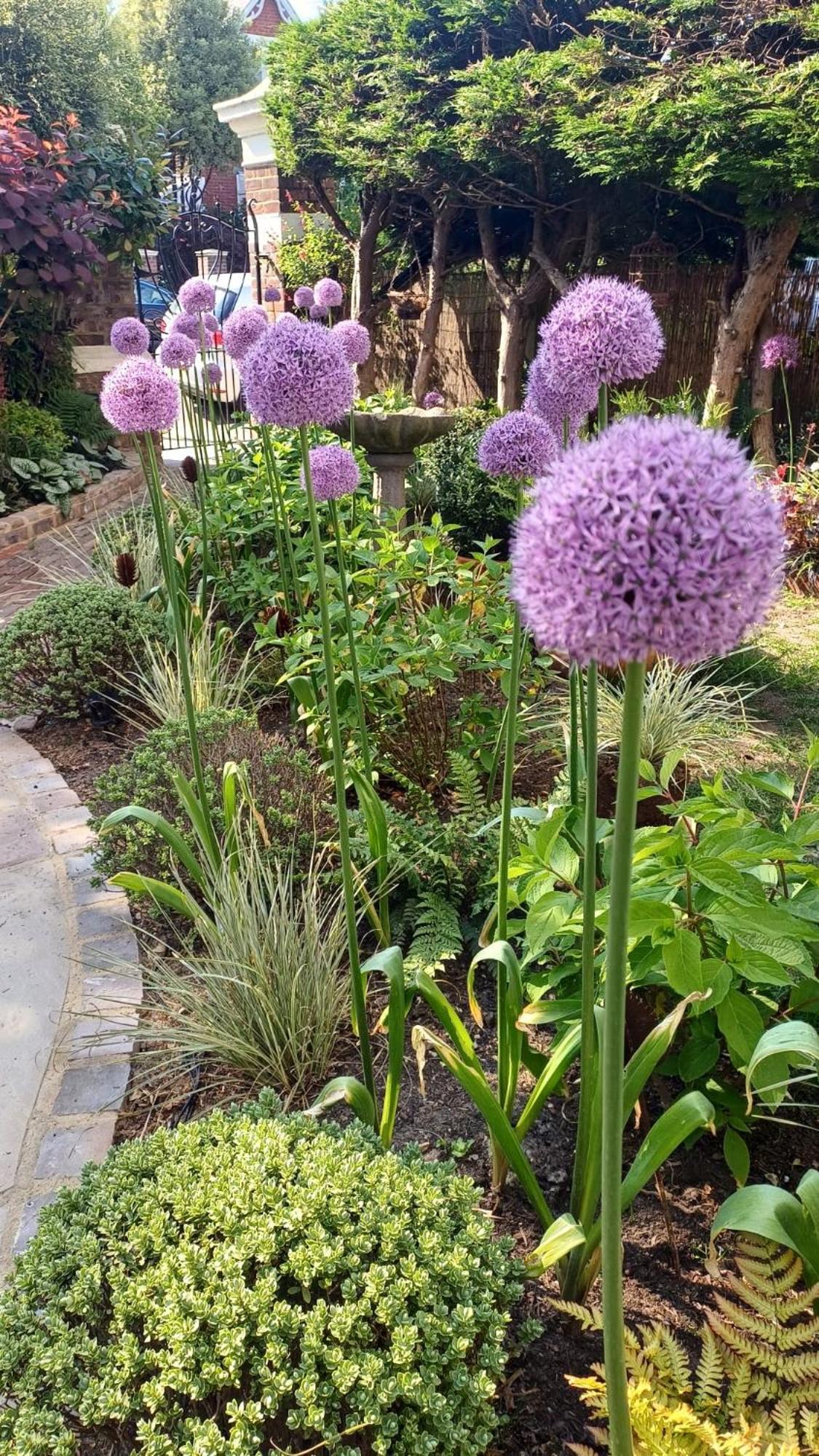 The Green House Portsmouth Bagian luar foto